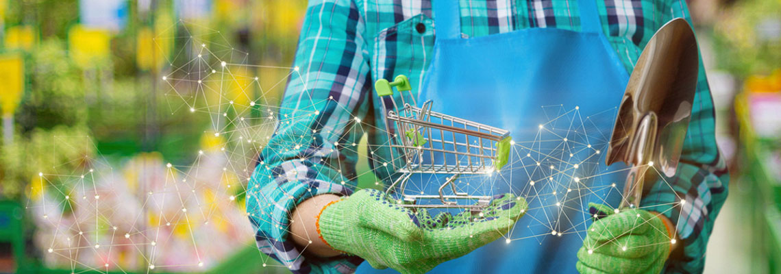 Les marchés agricoles en ligne